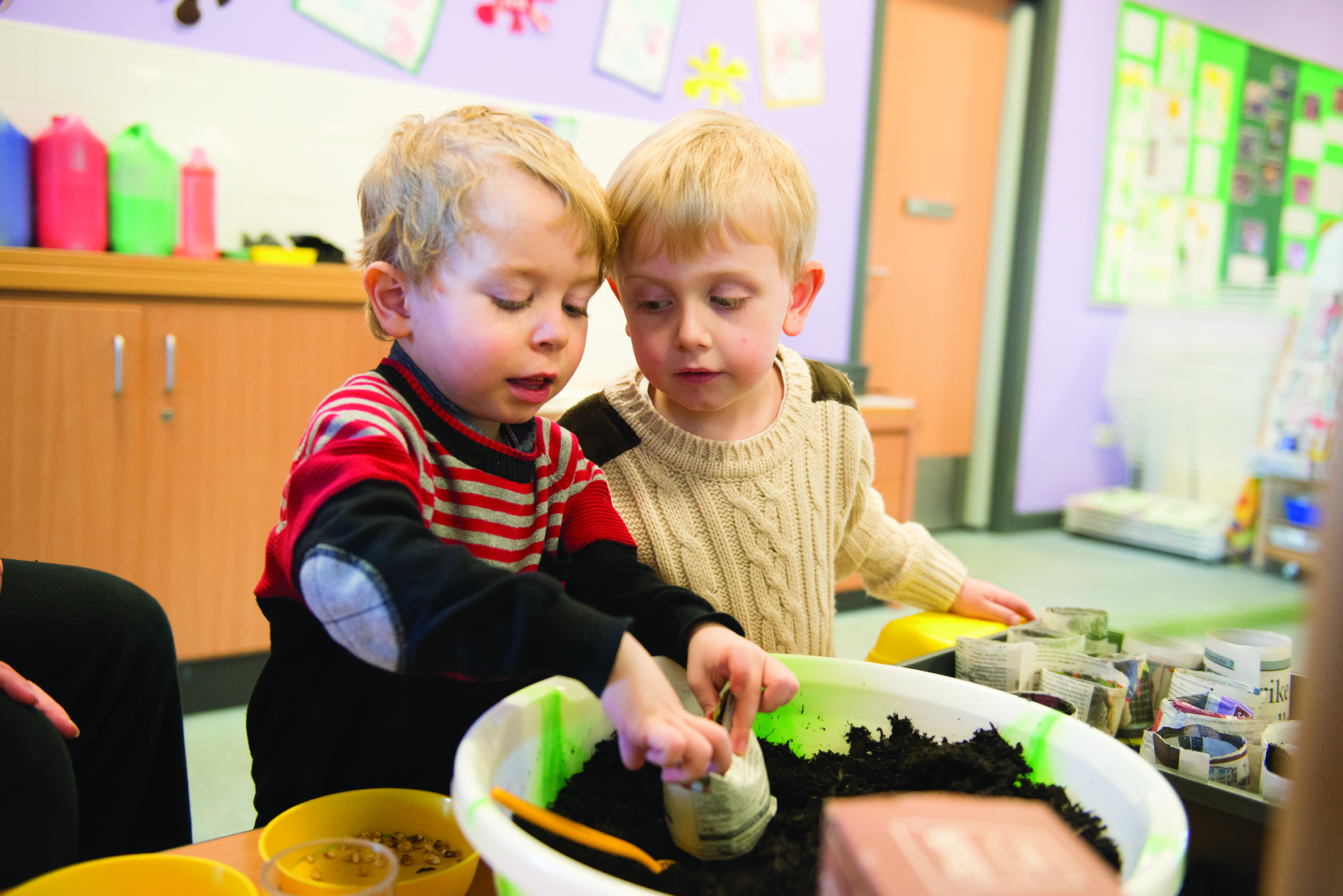 Help shape our new Corporate Plan